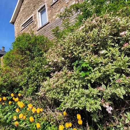 Bed and Breakfast Le Revella Profondeville Exterior foto